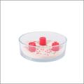 Coupe en verre d25 h8