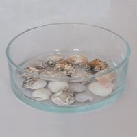 Coupe en verre ronde coquillages