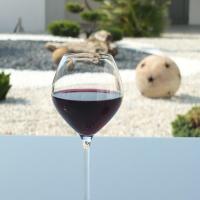 Verre vin arome